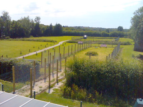 Lawned Area   The Playgrounds